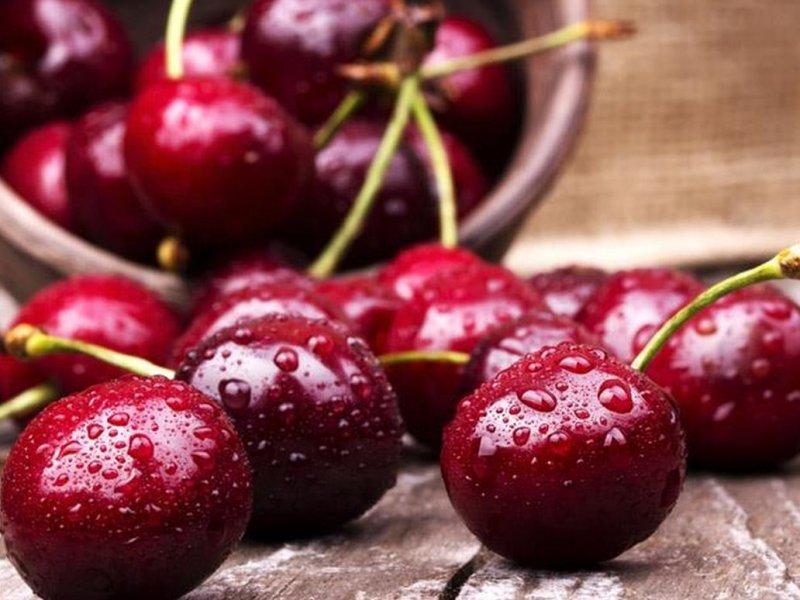Вишня купить саженцы из питомника в Ступино