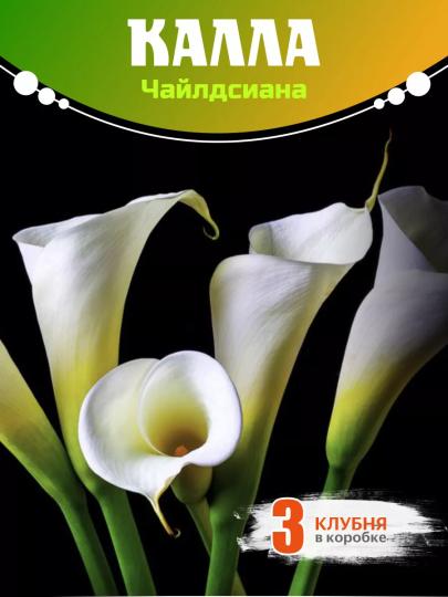 Калла клубни Чайлдсиана 3шт